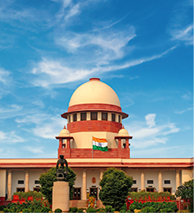 Social Scoop - A moment of triumph